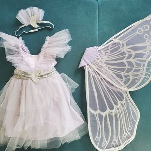 2/3T PB Kids Fairy Costume